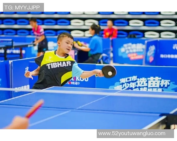 赵伟独家分享乒乓球技巧与心得助你提升球技的全面指南